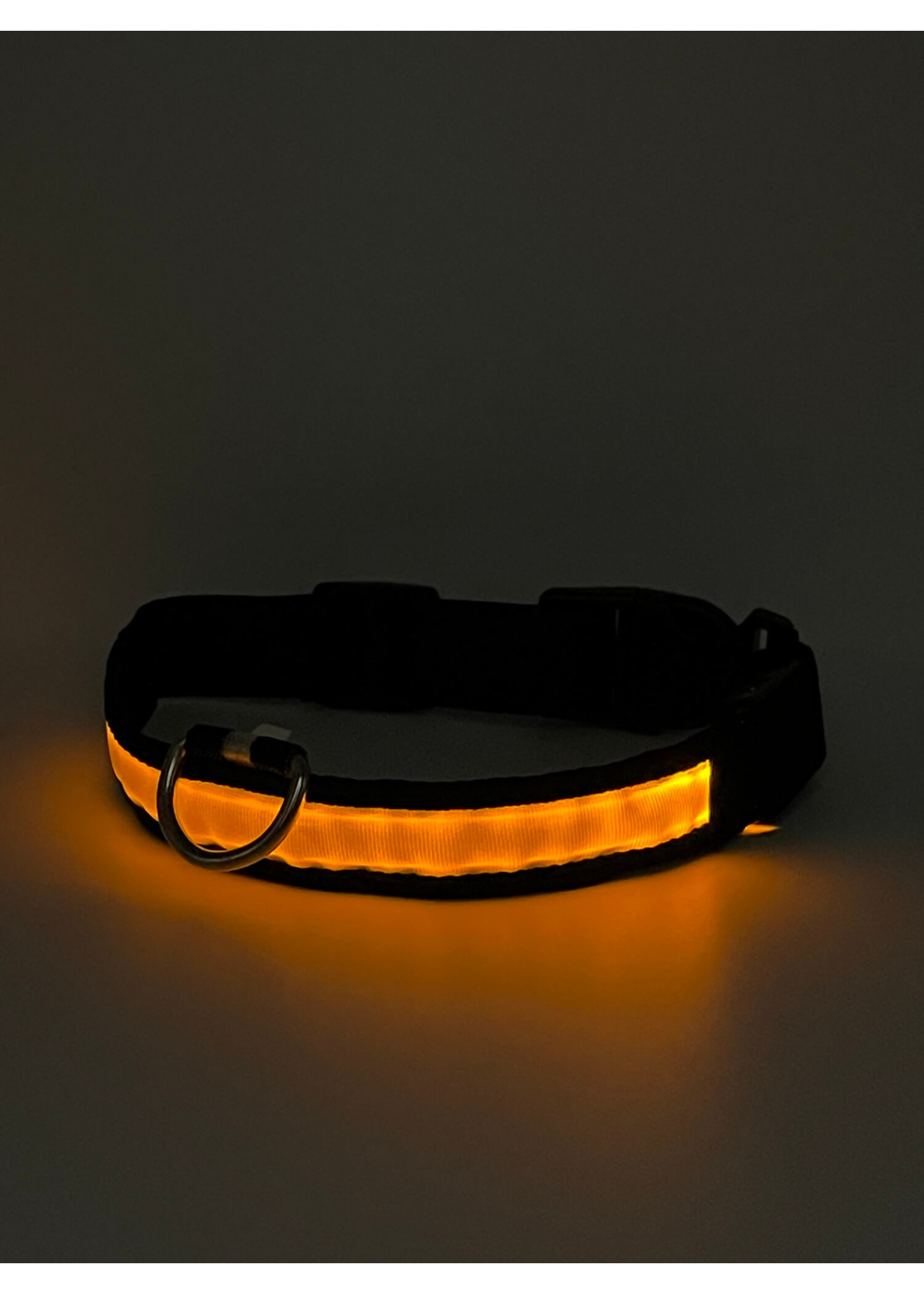 LED Adjustable Dog Collar