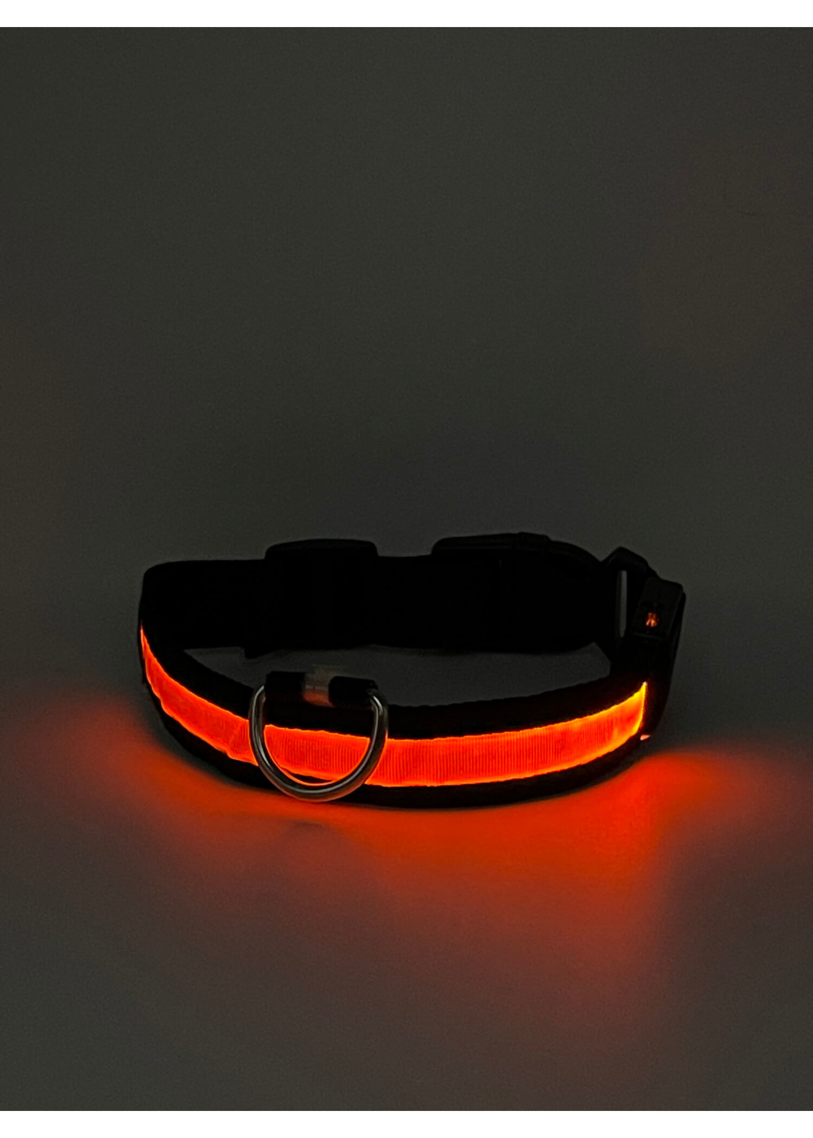 LED Adjustable Dog Collar