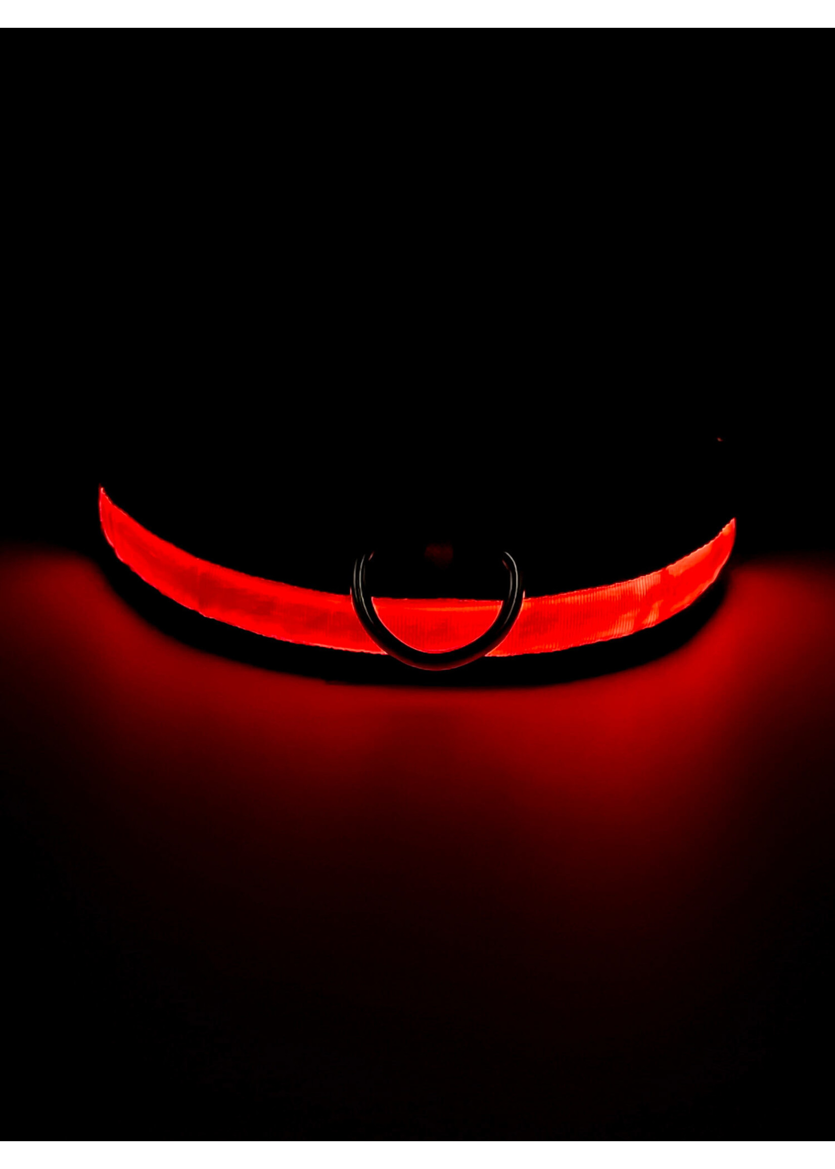 LED Adjustable Dog Collar