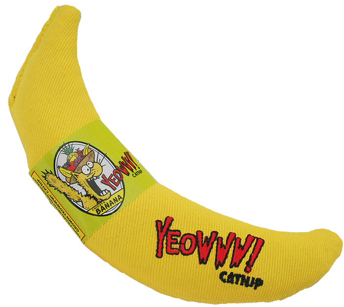 Duckyworld products cheap