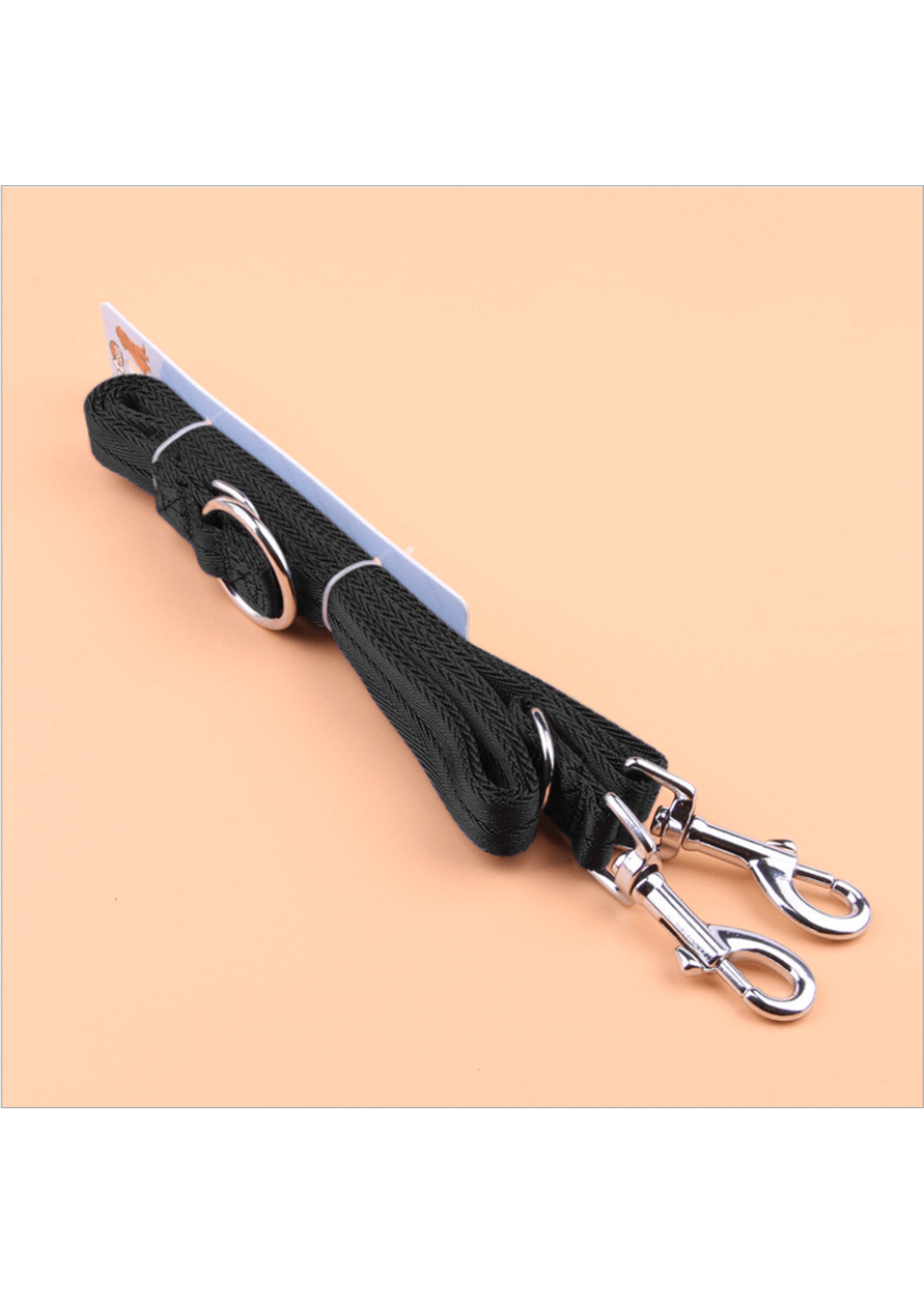 Dual Clip Training Leash