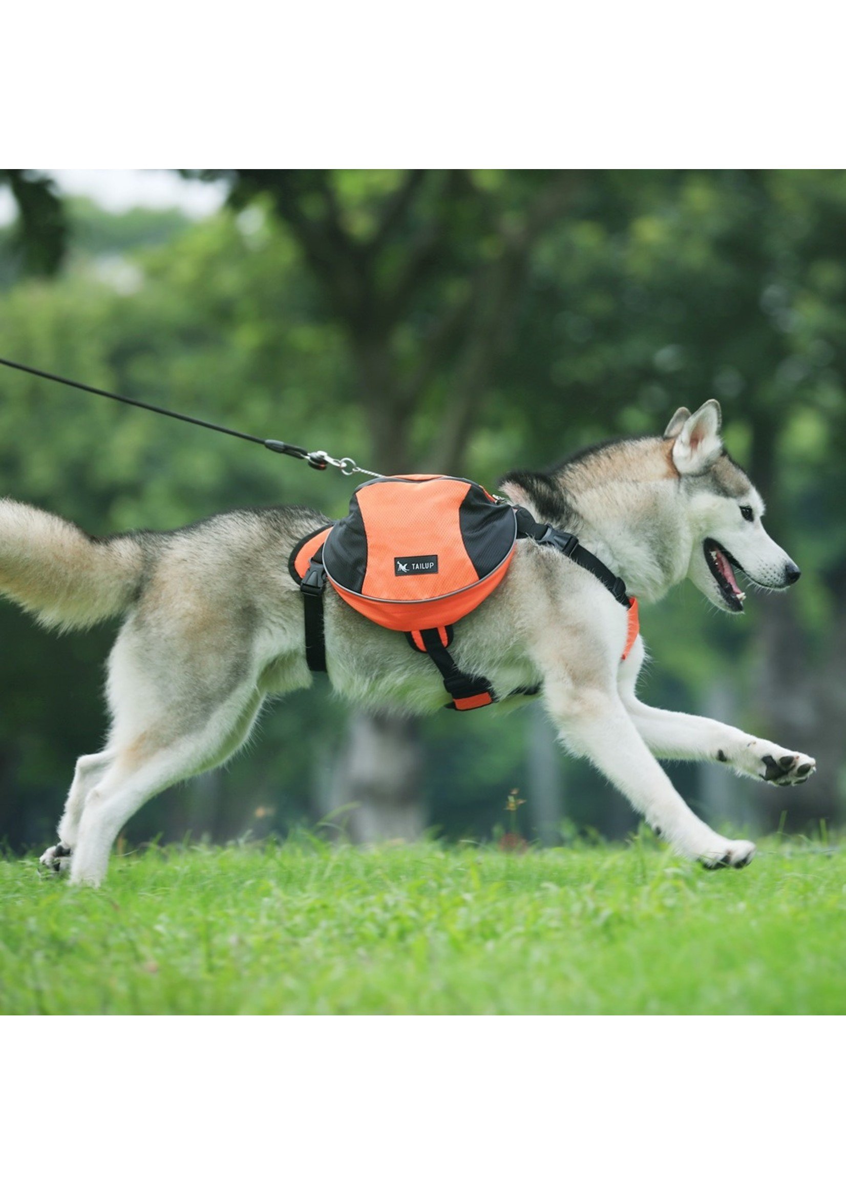Dog Saddle Bag & Harness