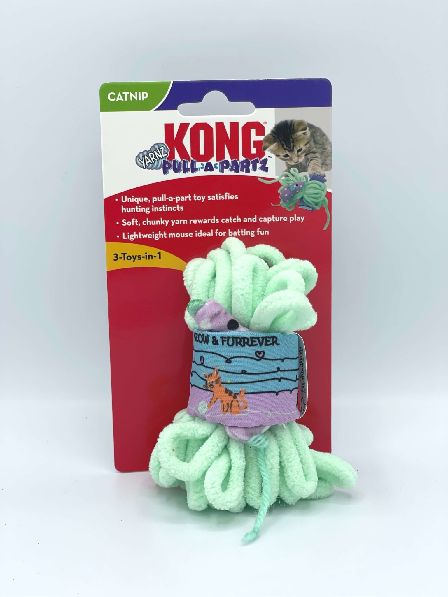 Kongsicles for dogs & some kitty Kong fun