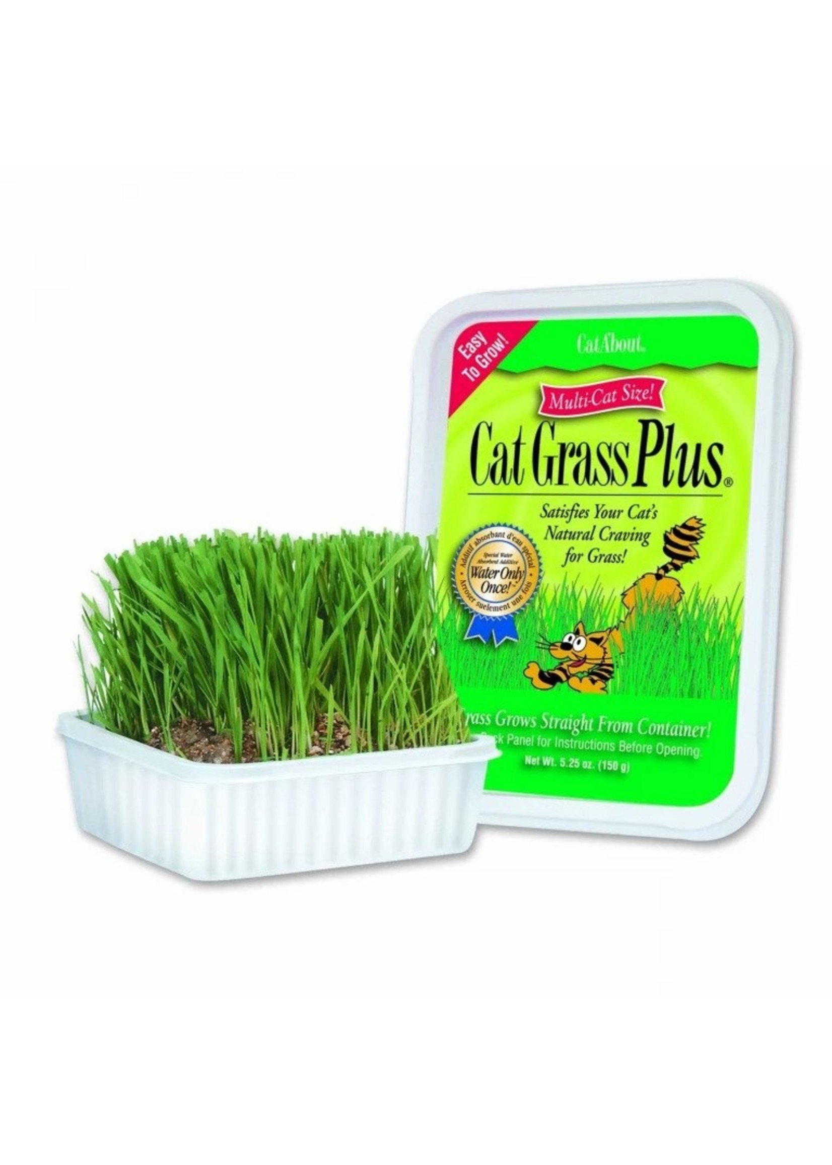 Cat Grass Plus