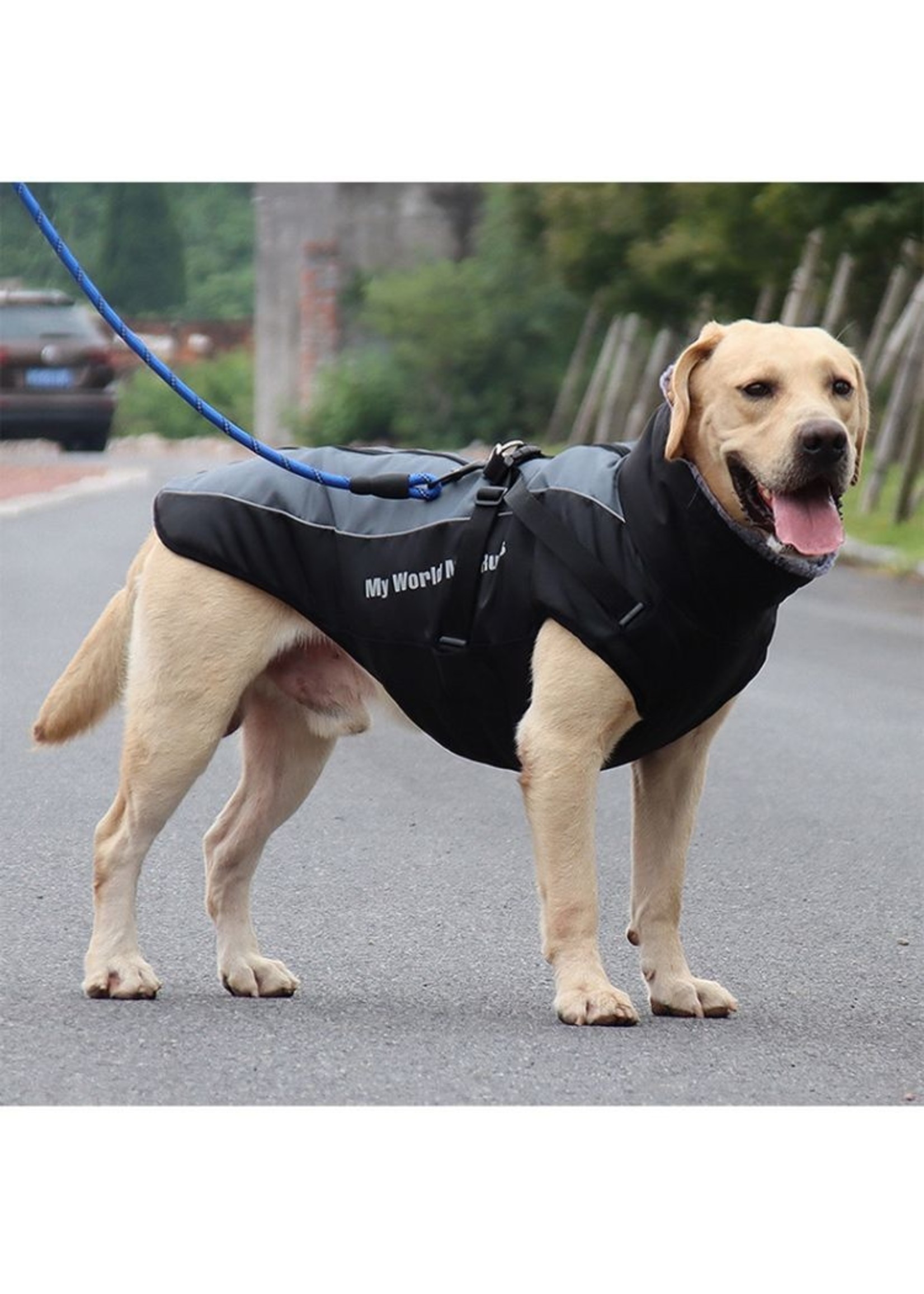 Winter Warm Pet Jacket with Harness