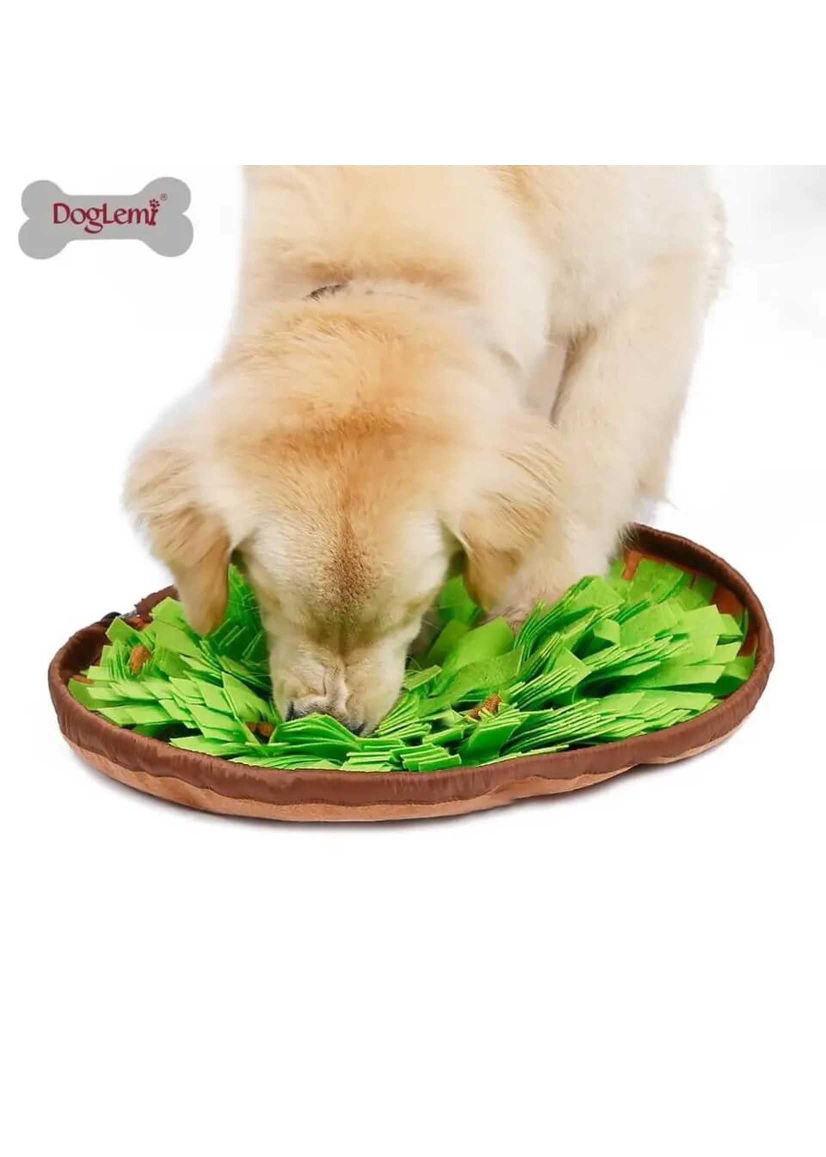 Pet Snuffle Mat & Slow Feeder Bowl