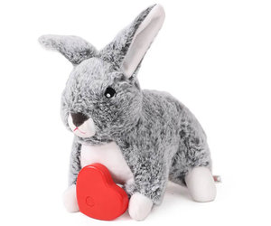 https://cdn.shoplightspeed.com/shops/645363/files/53196404/300x250x2/behavioral-heartbeat-rabbit-pet-anxiety-toy.jpg