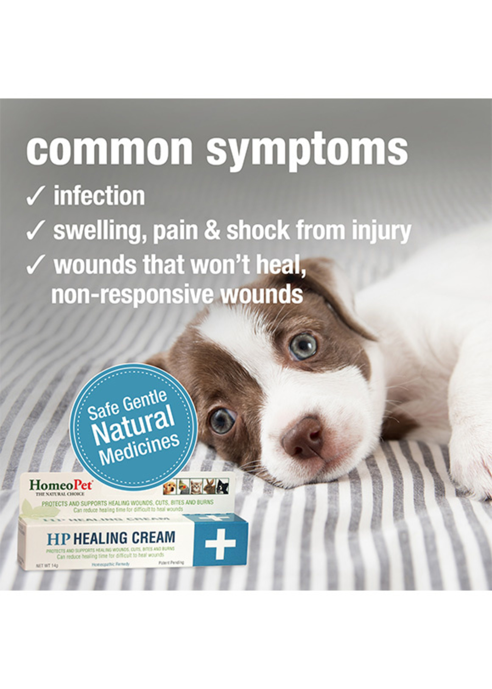HomeoPet HomeoPet HP Healing Cream, Natural Support for Pet Wounds