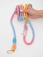 Bundle x Joy Joy Gradient Rope Leash