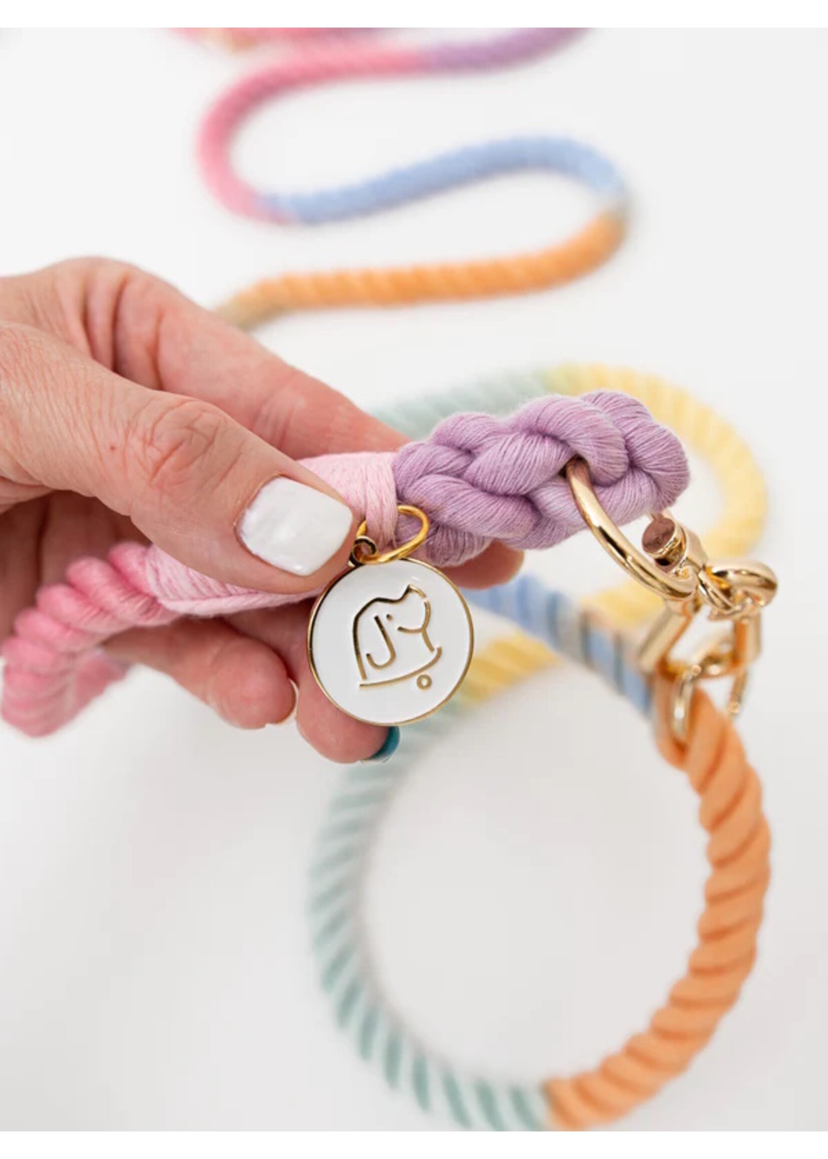 Bundle x Joy Joy Gradient Rope Leash