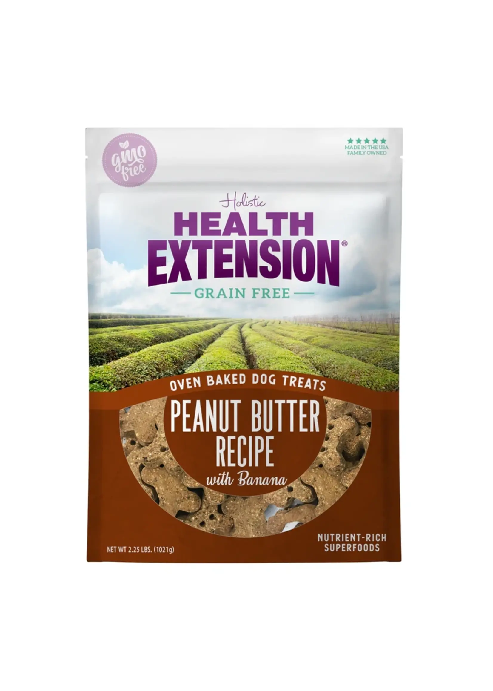 Holistic Health Extension Holistic Health Extension Baked Dog Treat Peanut Butter Recipe w/ Banana
