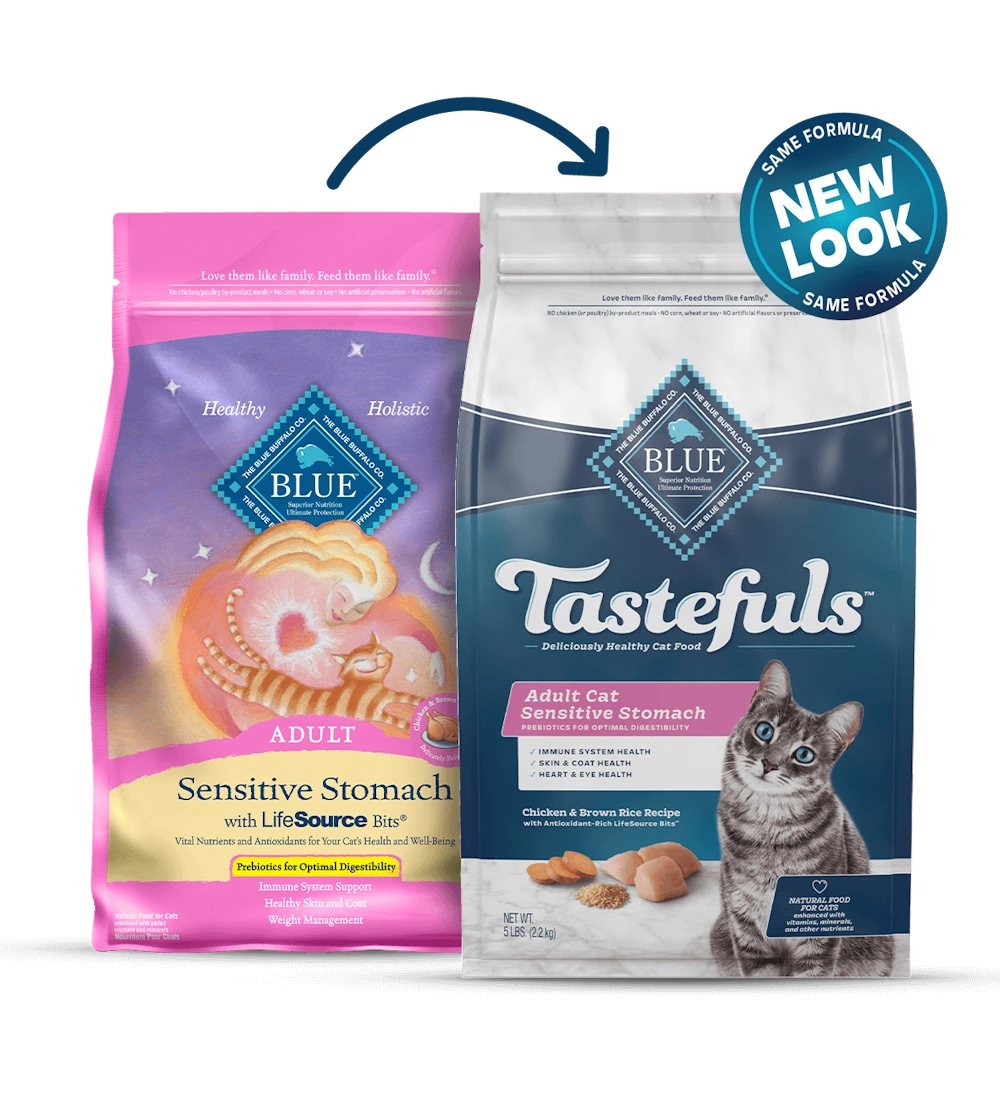 Blue Buffalo Tastefuls Sensitive Stomach Natural Chicken Adult Dry Cat Food Pack of 48 48 packs