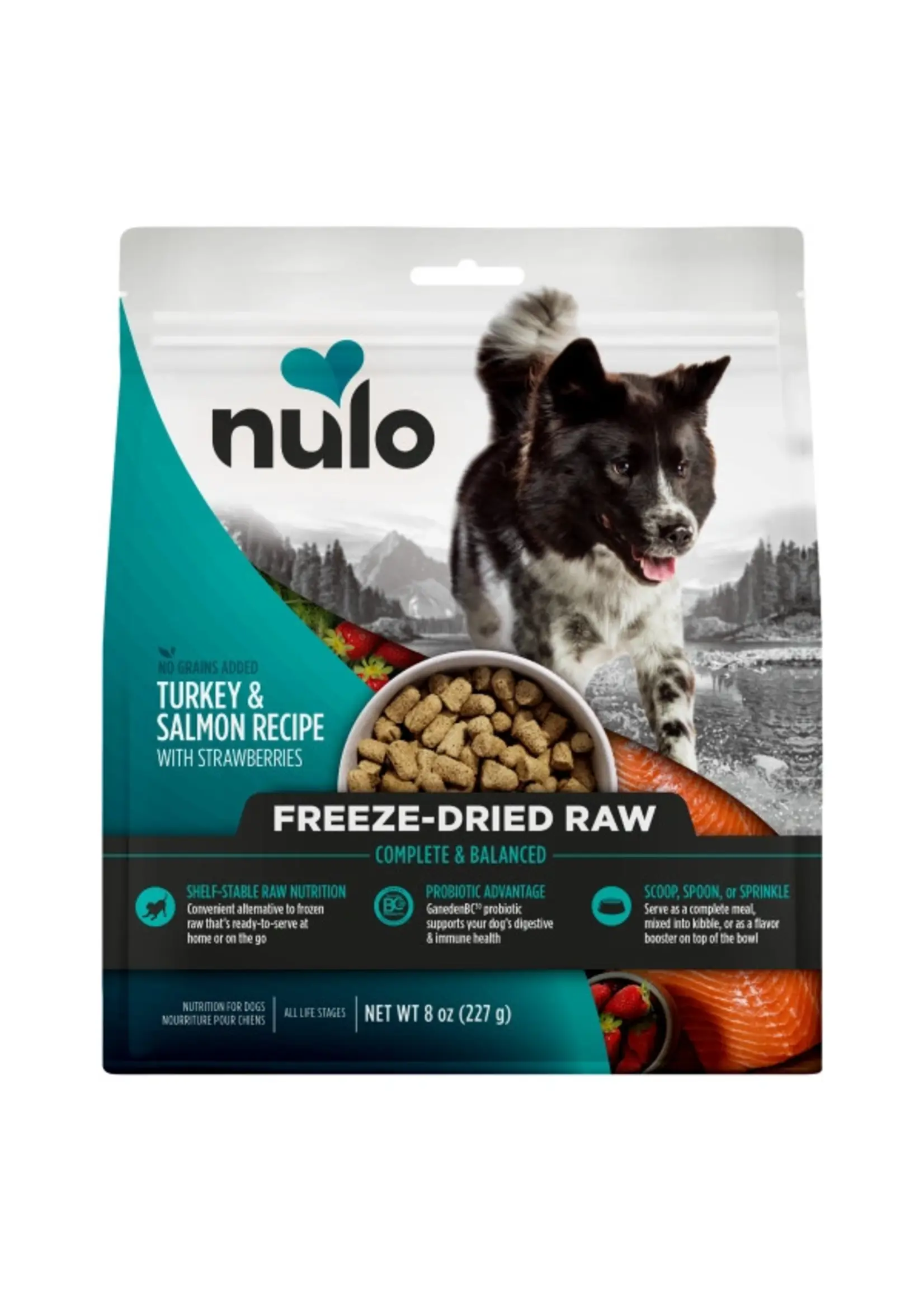 Nulo Nulo Freeze Dried Raw Dog Food Turkey & Salmon