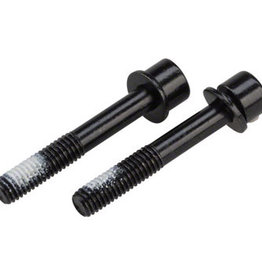 TRP Mounting Bolts for Flat Mount Rear Caliper - 32mm