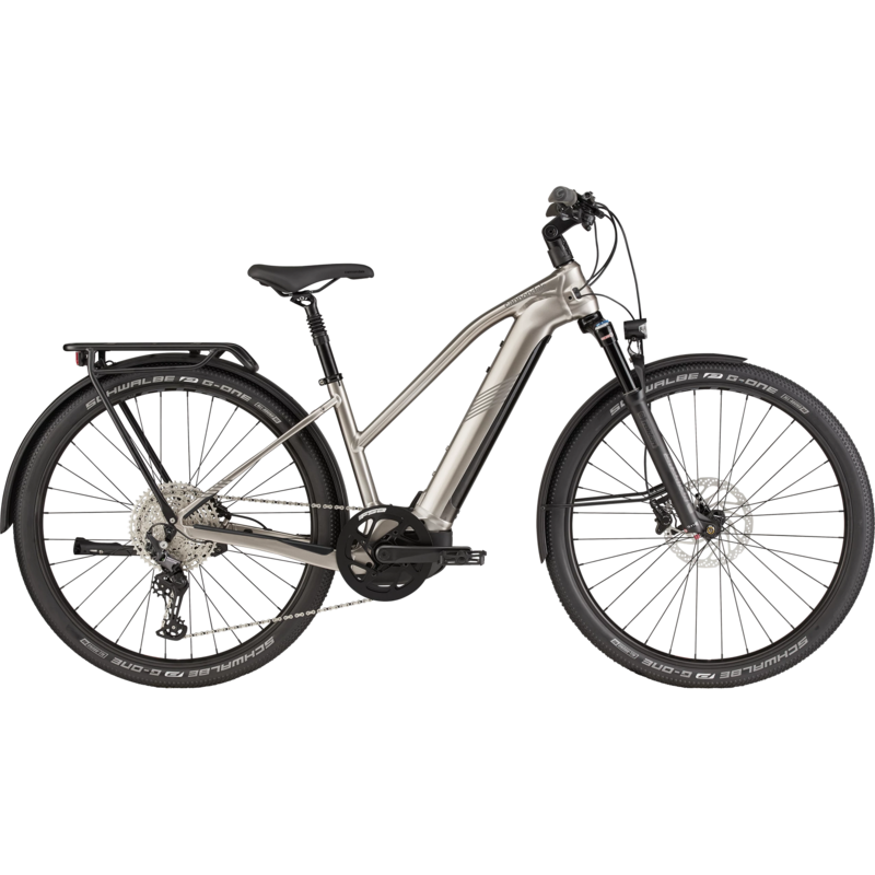 Cannondale 29 Tesoro Neo X 1 - Meteor Gray