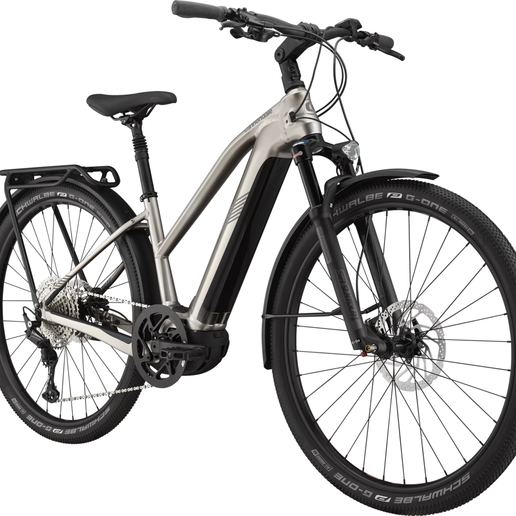 Cannondale 29 Tesoro Neo X 1 - Meteor Gray