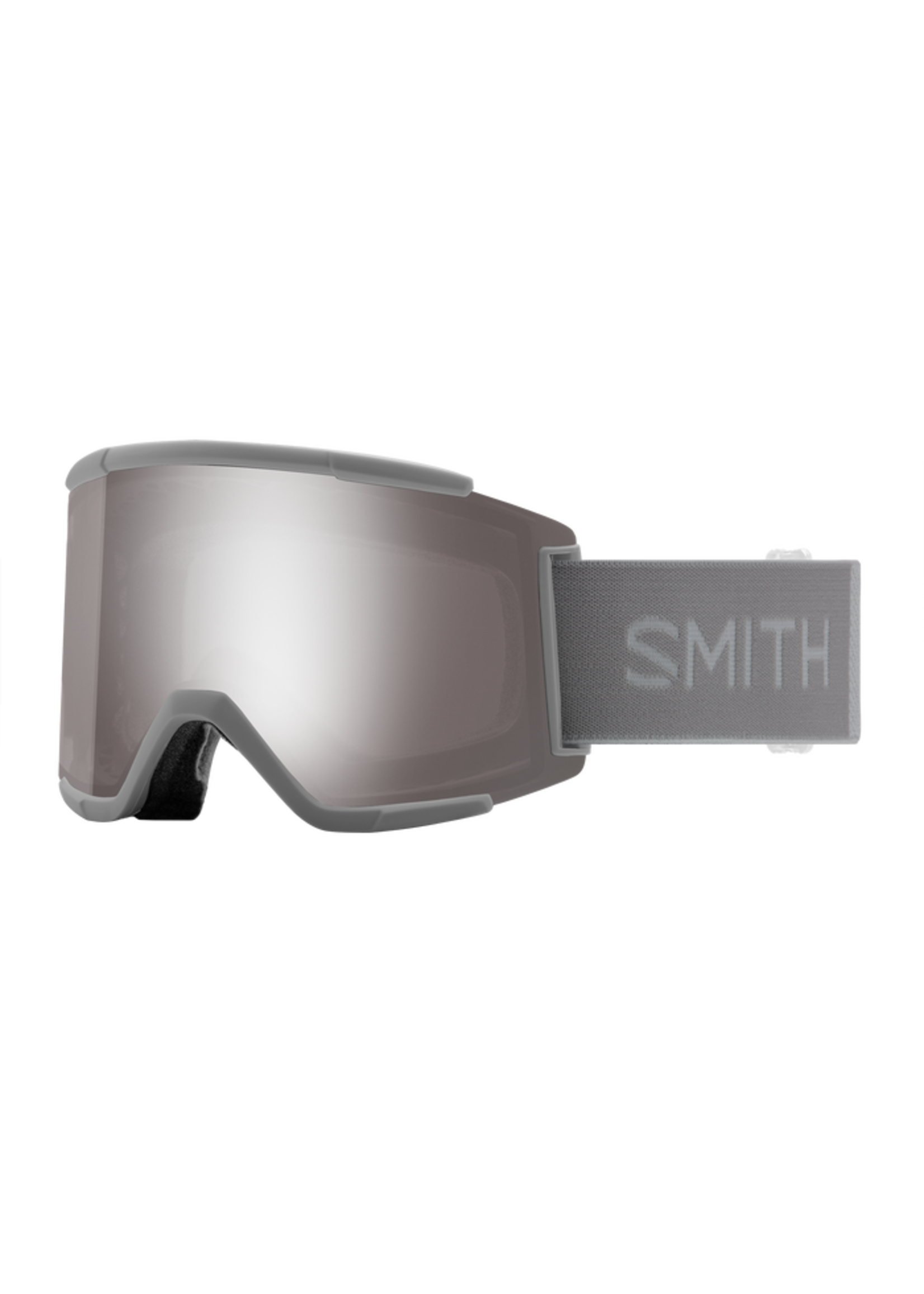 Rip Curl 2022 Smith Squad XL Goggle