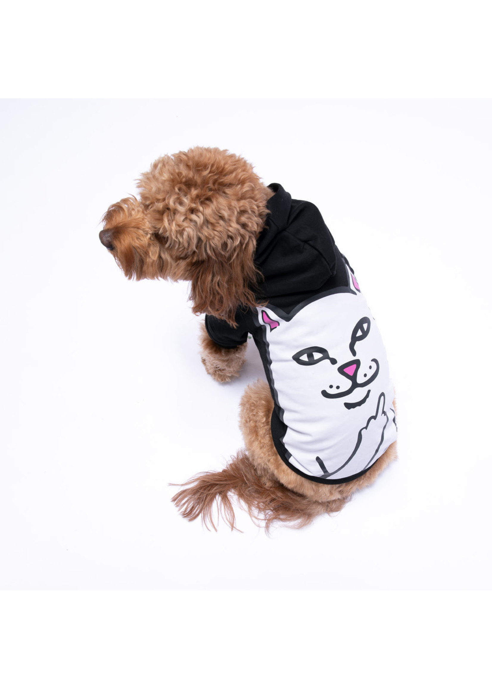 RIPNDIP RipnDip Pet Hoodie Lord Nermal