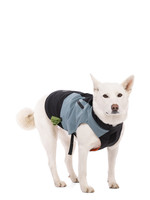 686 Hydra Insulated Dog Jacket