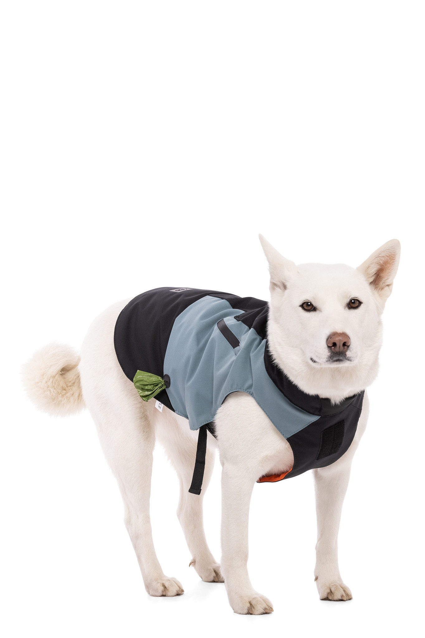 Hydra Insulated Dog Jacket Board Stiff