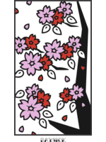 Fernie Shirt Co Fernie Shirt Co Cherry Blossom tee