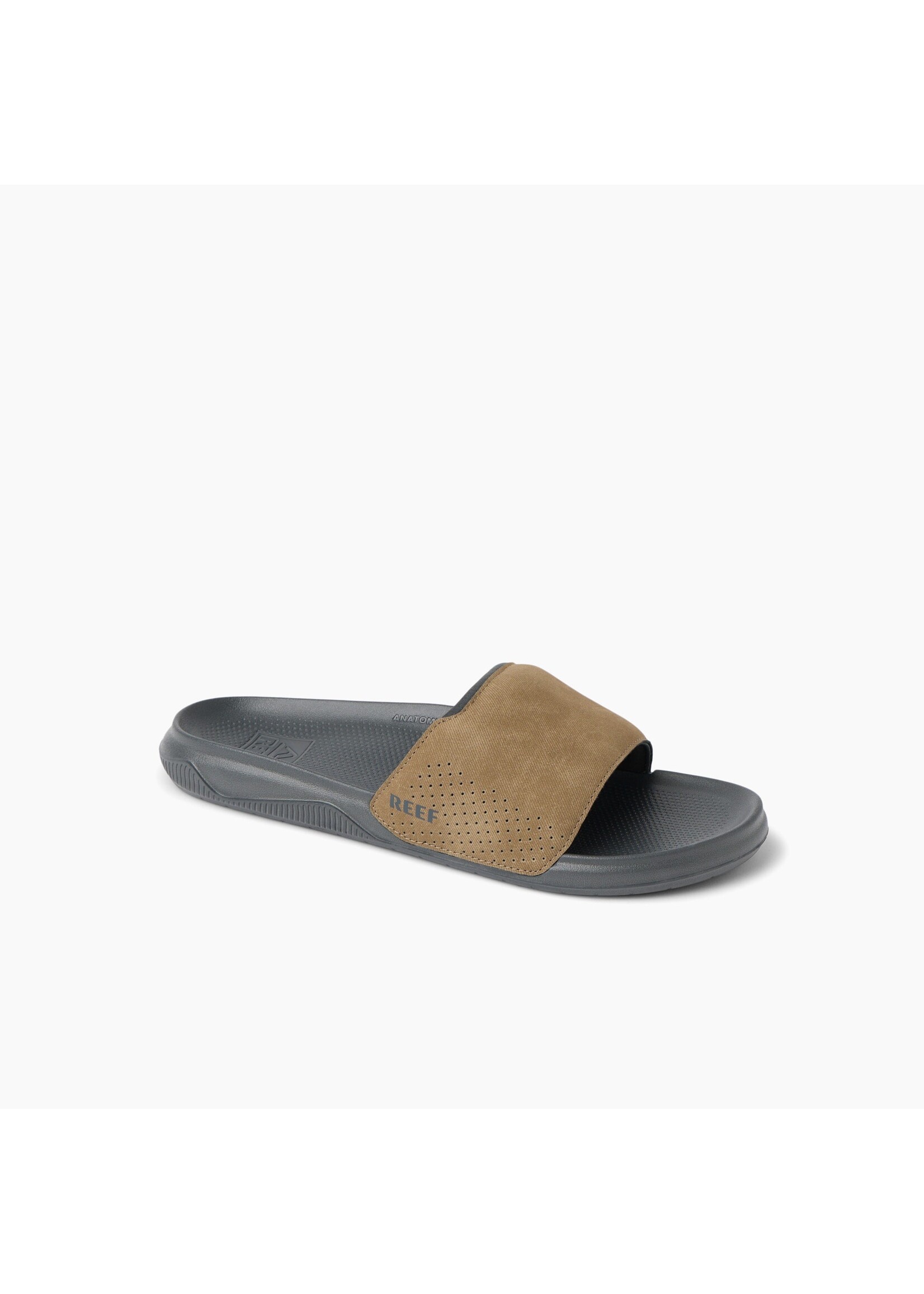 reef Reef Tailslide