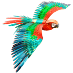 Metal Earth ICX118 Parrot