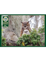 Cobble Hill CH40176 Great Horned Owl (Puzzle1000)