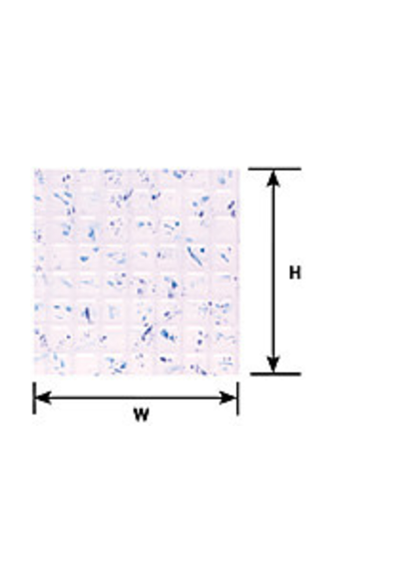 Plastruct PLA91542 Square Tile Sheet