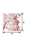 Plastruct PLA91874 Styrene