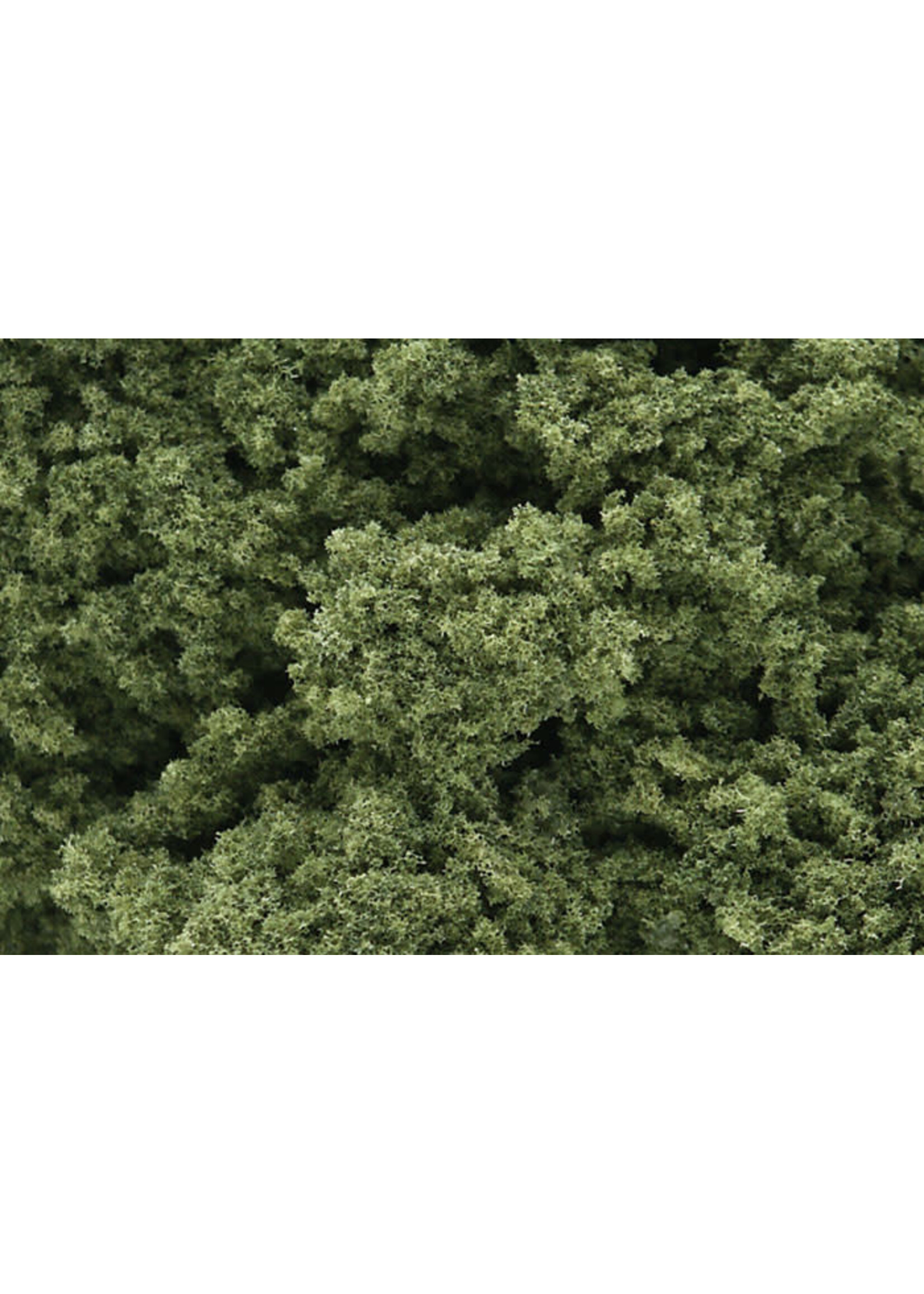 Woodland Scenics ***WOO57 Foliage Clusters Light Green