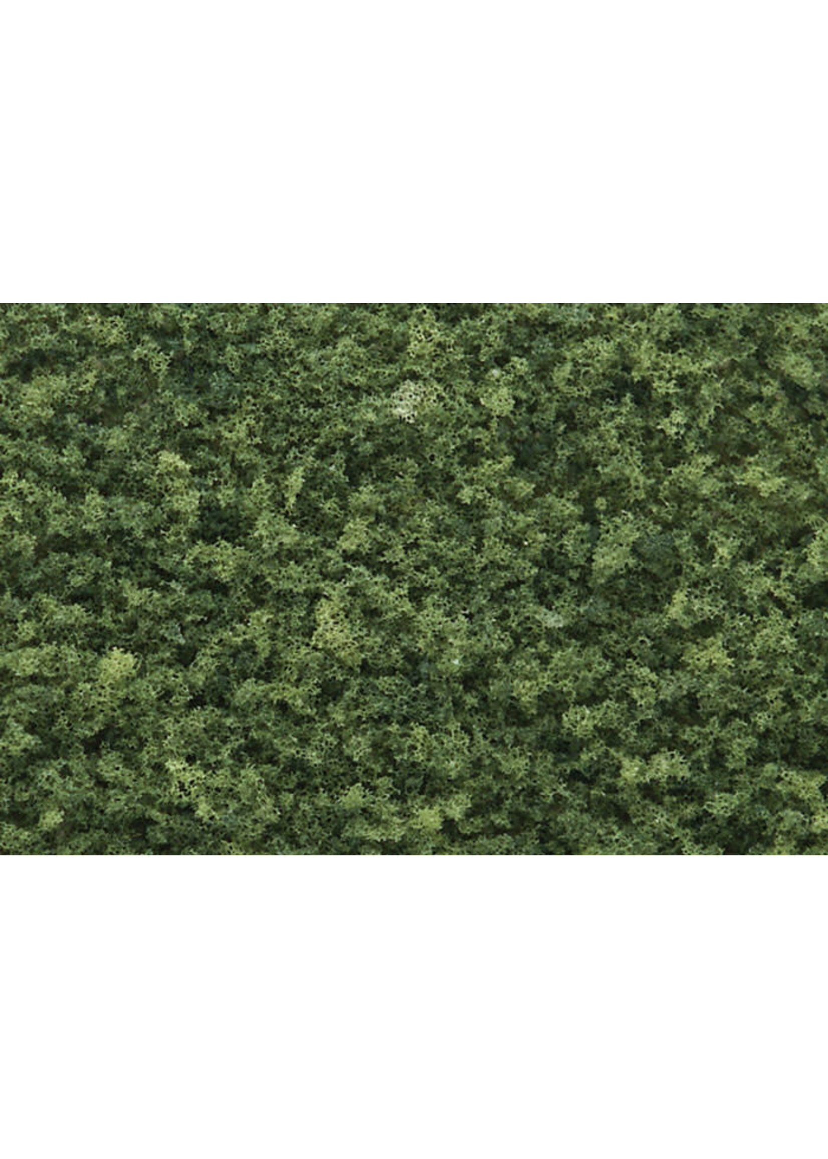 Woodland Scenics ***WOO64 Coarse Turf Medium Green (12oz)