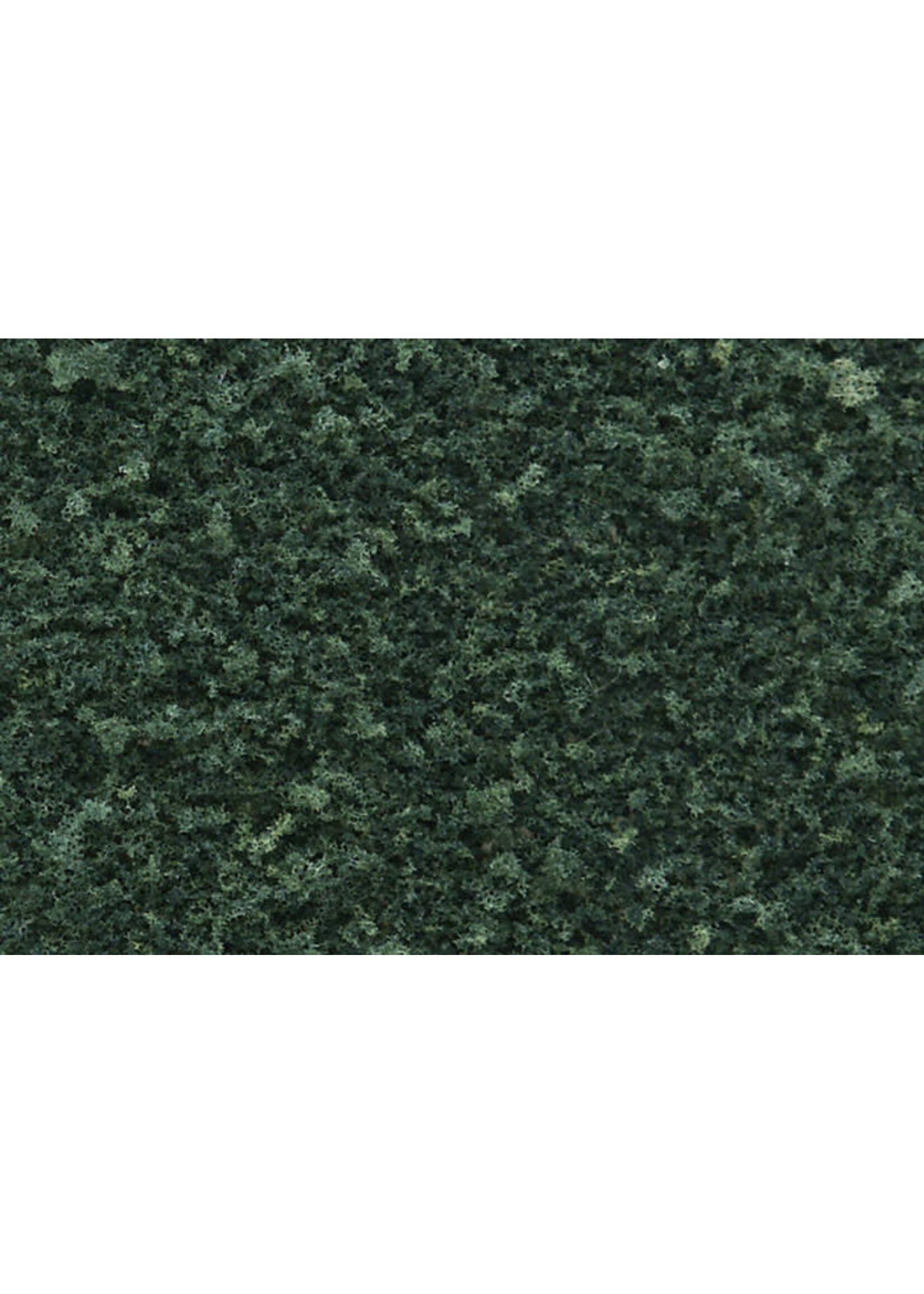 Woodland Scenics WOO65 Coarse Turf Dark Green (12oz)
