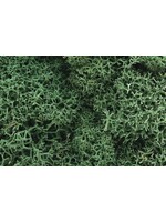 Woodland Scenics WOO162 Lichen Light Green