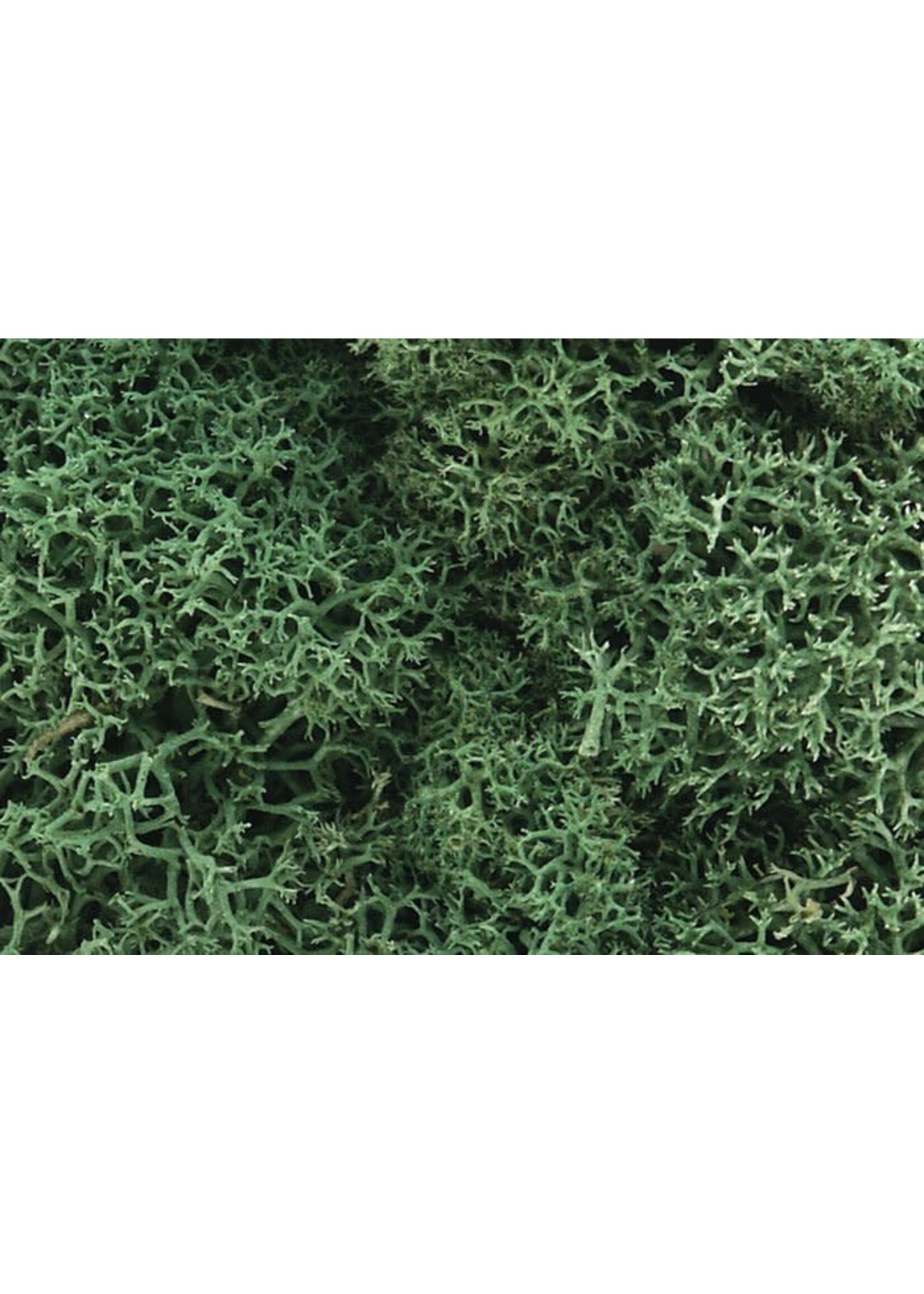 Woodland Scenics WOO162 Lichen Light Green