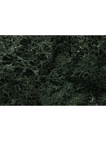 Woodland Scenics ***WOO164 Lichen Dark Green