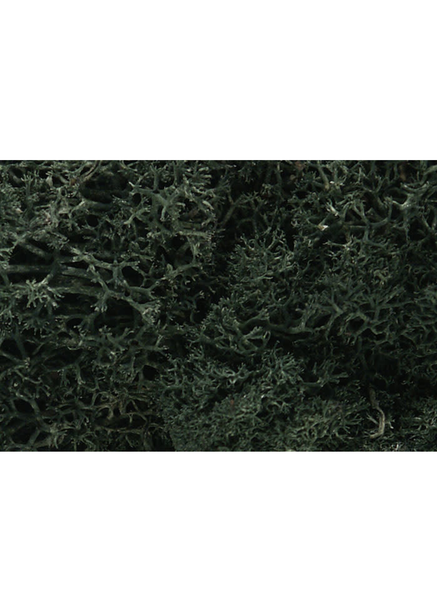 Woodland Scenics WOO164 Lichen Dark Green