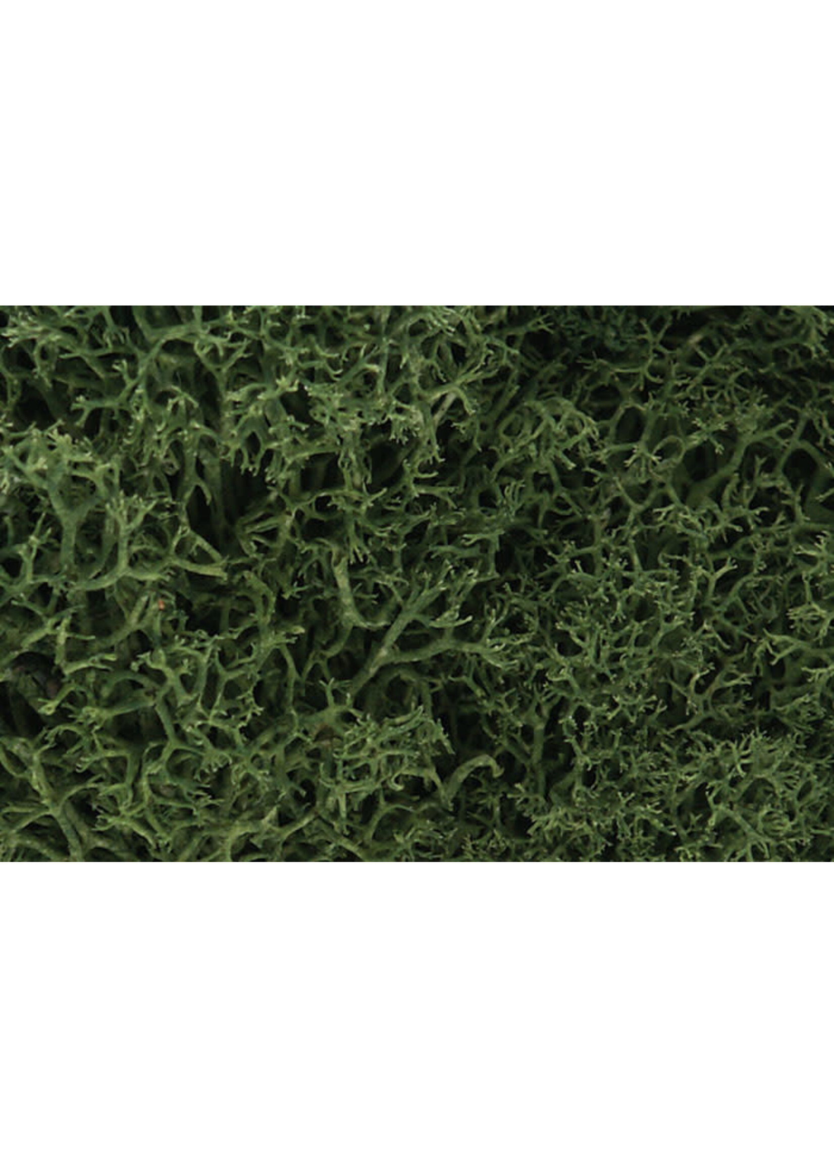 Woodland Scenics WOO163 Lichen Medium Green