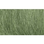 Woodland Scenics WOO174 Field Grass Medium Green