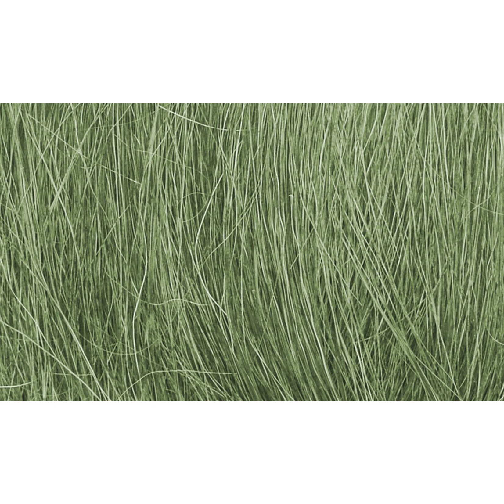 Woodland Scenics WOO174 Field Grass Medium Green