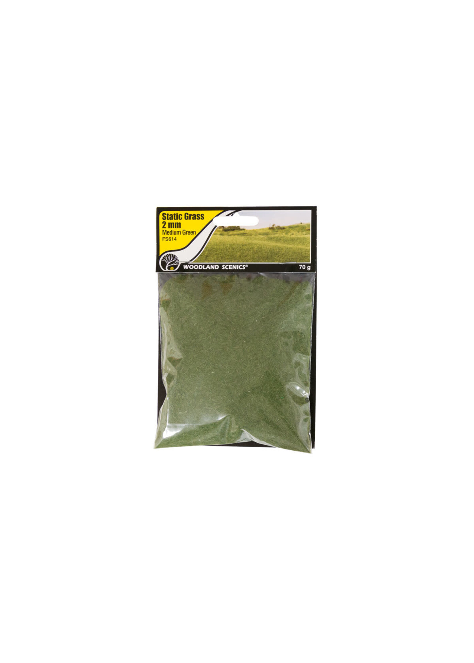 Woodland Scenics WOO614 Medium Green 2mm Static Grass