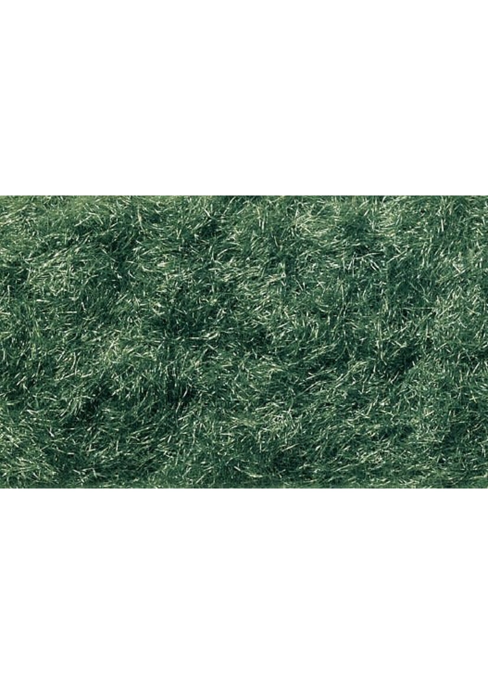 Woodland Scenics ***WOO636 Static Grass Flock Dark Green