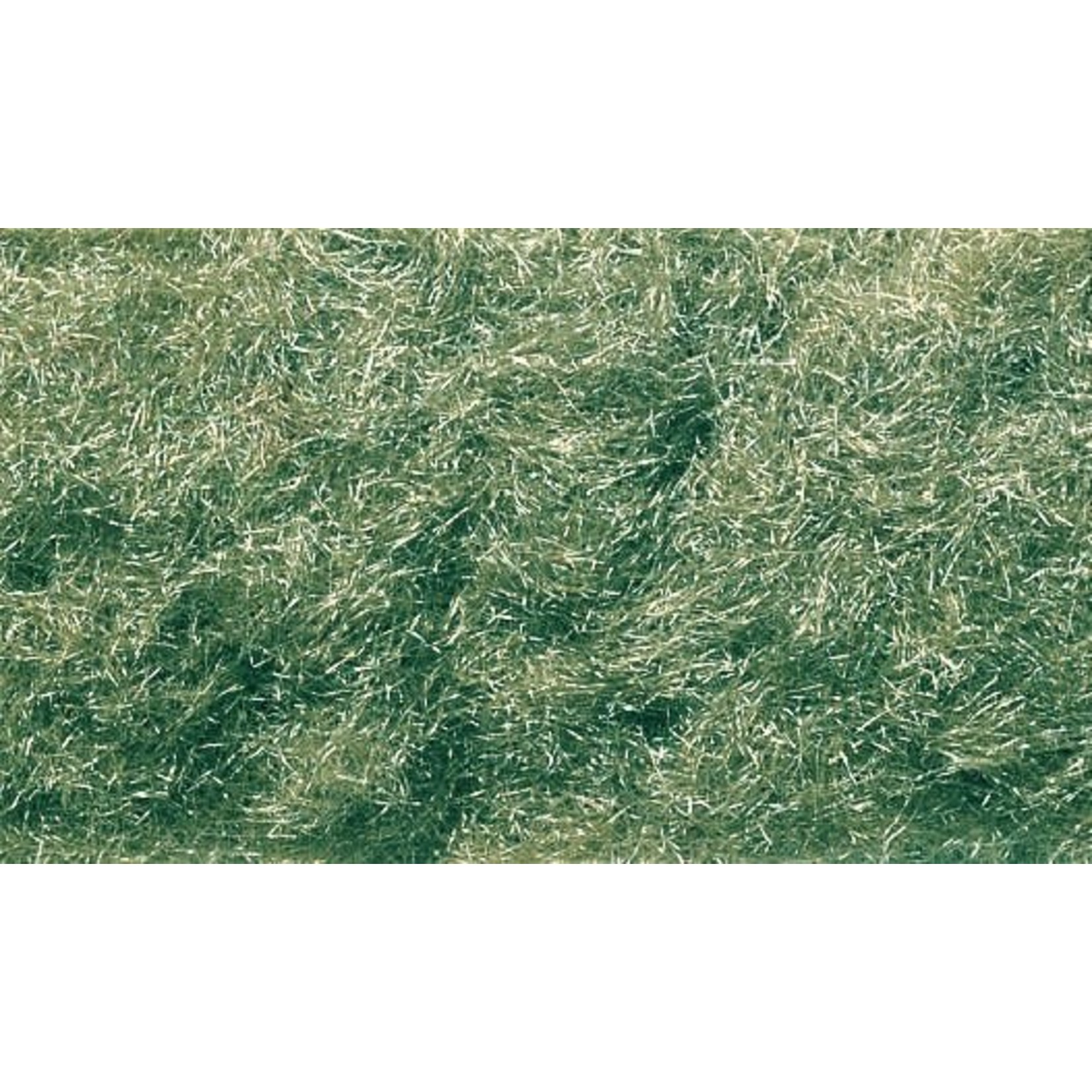 Woodland Scenics WOO635 Shaker Static Grass Flock Medium Green (32oz)
