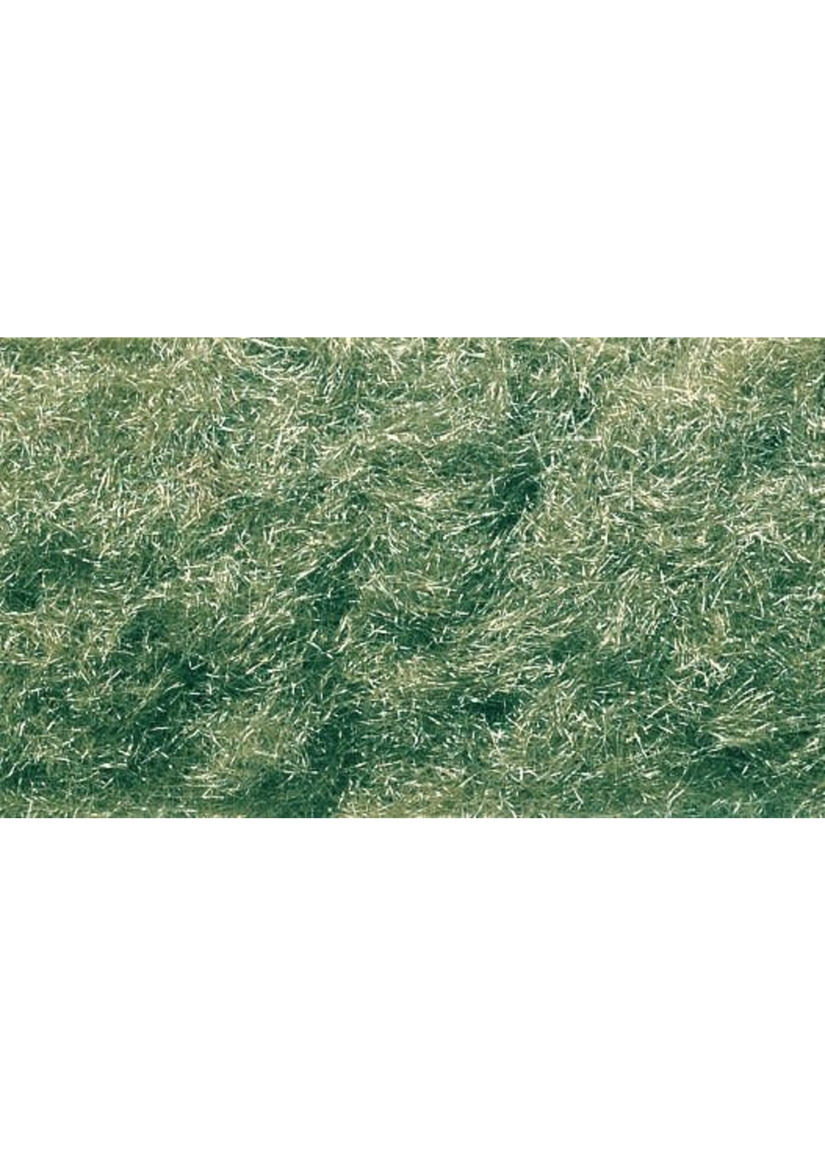 Woodland Scenics ***WOO635 Shaker Static Grass Flock Medium Green (32oz)
