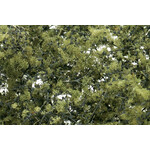 Woodland Scenics WOO1133 Fine Foliage Olive Green