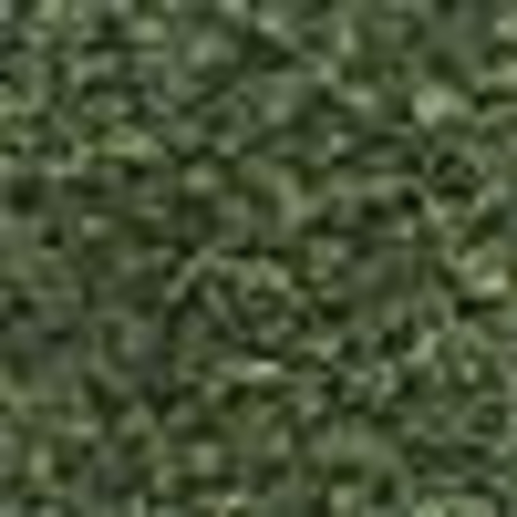 Woodland Scenics WOO1349 Shaker Blended Turf Green (32oz)