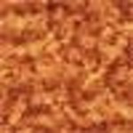 Woodland Scenics WOO1354 Shaker Coarse Turf Fall Orange (32oz)