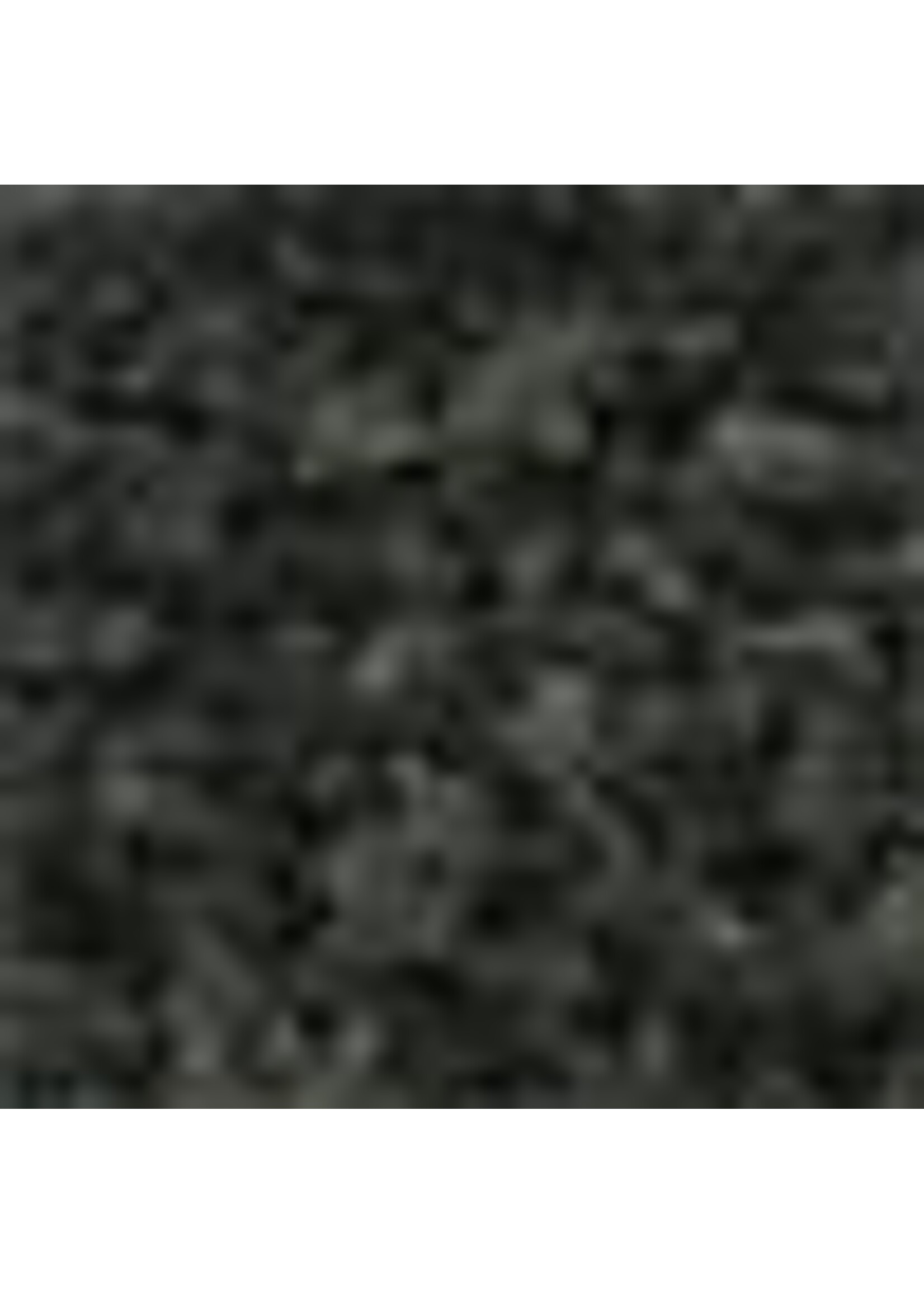 Woodland Scenics ***WOO1366 Shaker Coarse Turf Conifer (32oz)