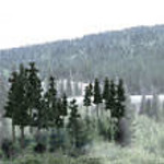 Woodland Scenics WOO1580 33 Pine Trees 2''-4''