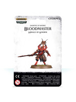 AoS Bloodmaster Herald of Khorne